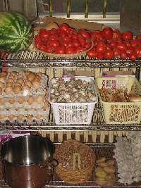 Xtrallusion offers characteristic Bed and Breakfast, B&B, Guest House, Hotel, Albergo and Country Lodge accommodation in Italy. Plus independent self-guided Walking, Adventure, Activity, Skiing and Paragliding Holiday itineraries on the Italian Rivieras, in the Italian Lakes, in the Italian Alps and in some of the most beautiful corners of Italy.